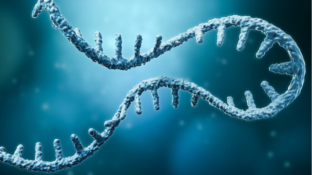 Therapeutic oligonucleotides in oncology: A rising class of precision drugs